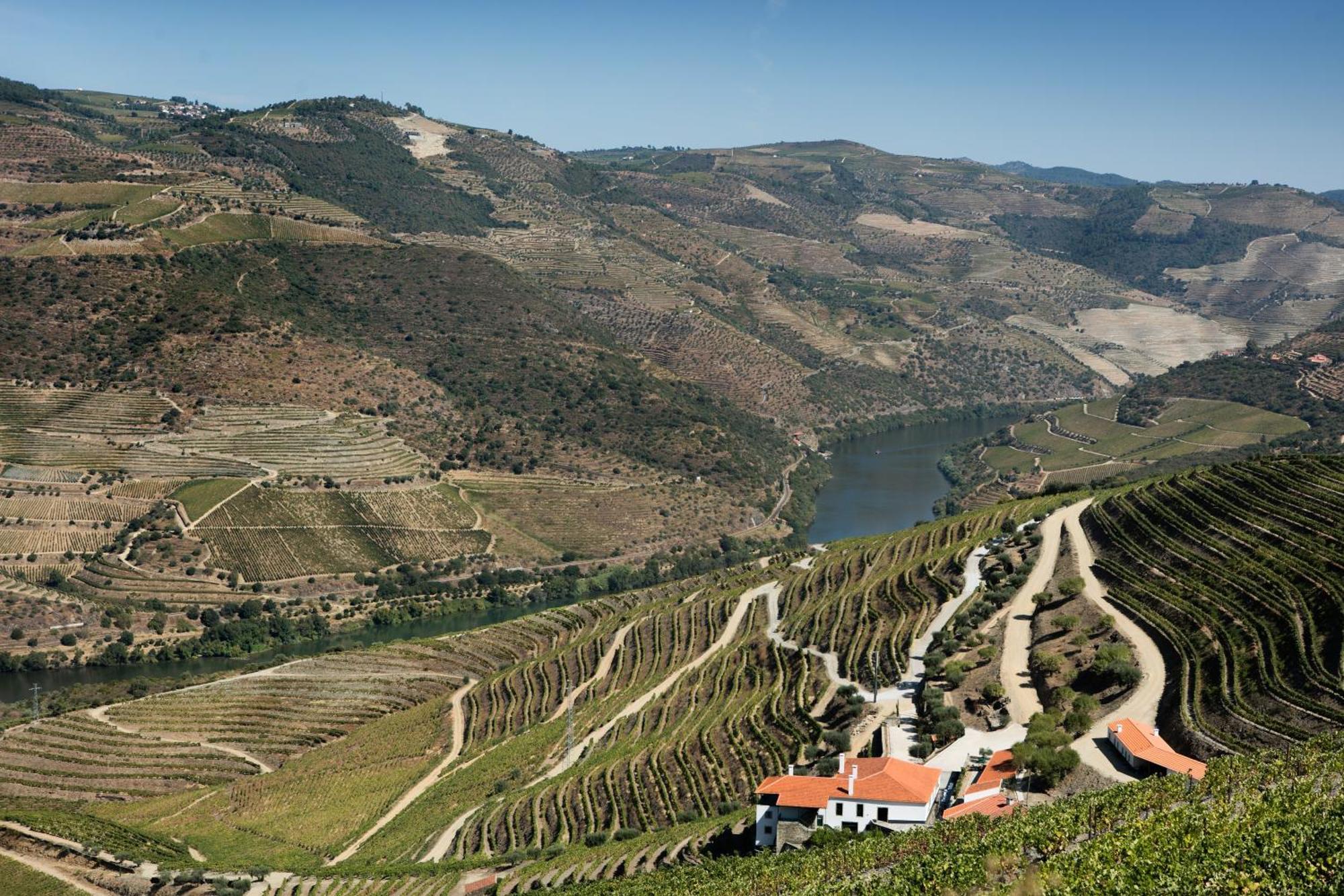 Hotel Quinta Da Gricha Ervedosa do Douro Exterior foto