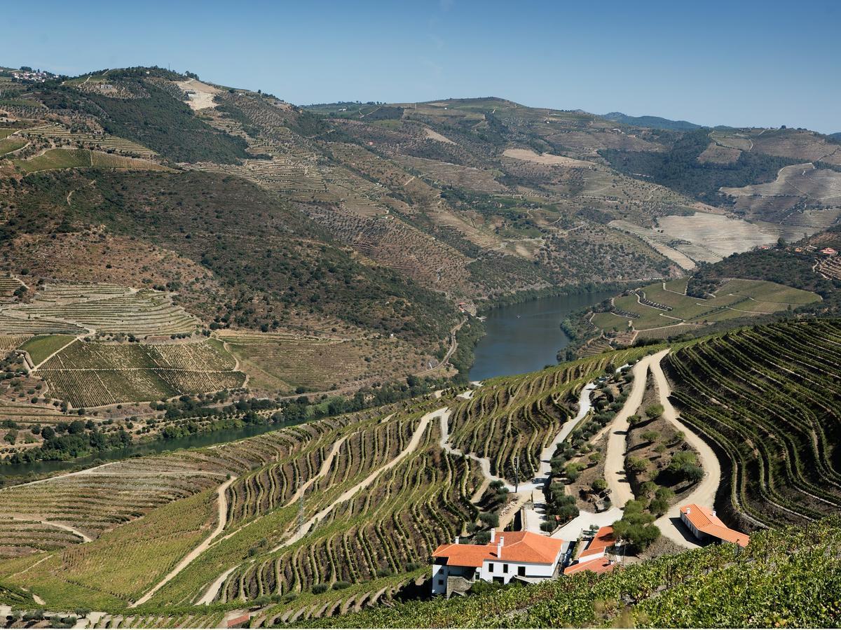 Hotel Quinta Da Gricha Ervedosa do Douro Exterior foto