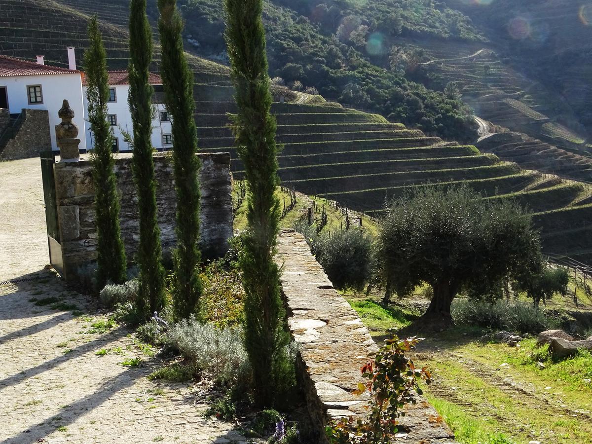 Hotel Quinta Da Gricha Ervedosa do Douro Exterior foto