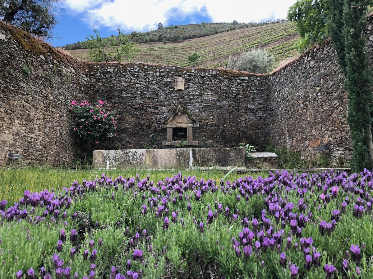 Hotel Quinta Da Gricha Ervedosa do Douro Exterior foto